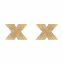Прикраса на соски Bijoux Indiscrets Flash Cross