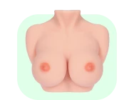 Груди